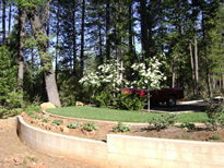 Garden Photo Five