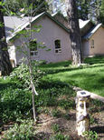 Garden Photo Eight
