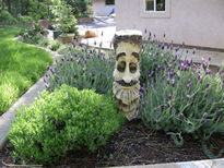Garden Photo Nine
