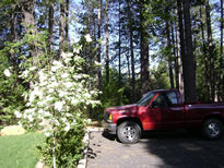 Garden Photo Ten