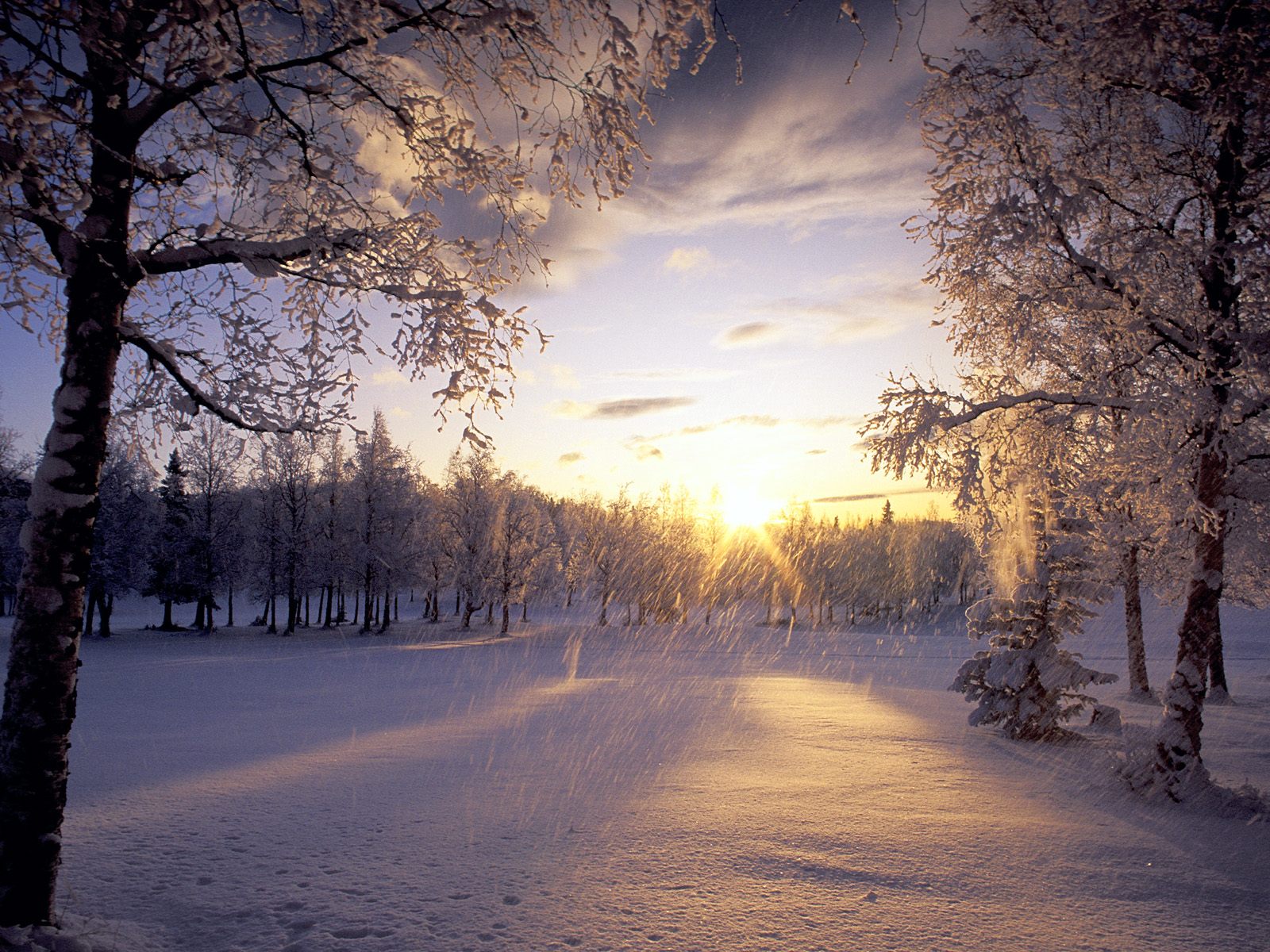 Falling Snow